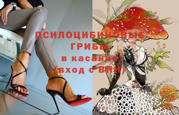 бошки Богданович