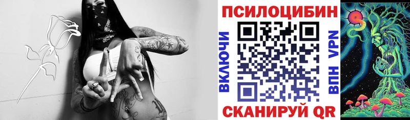 Псилоцибиновые грибы Psilocybine cubensis  Белоярский 