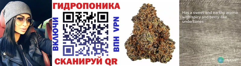 Канабис индика  Белоярский 